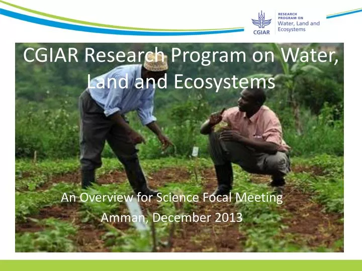 cgiar research program on water land and ecosystems