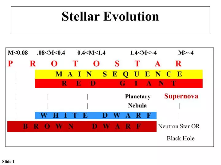 stellar evolution