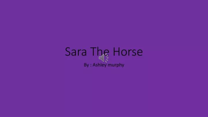 sara the horse