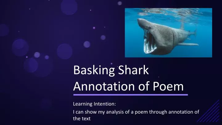 basking shark annotation of poem