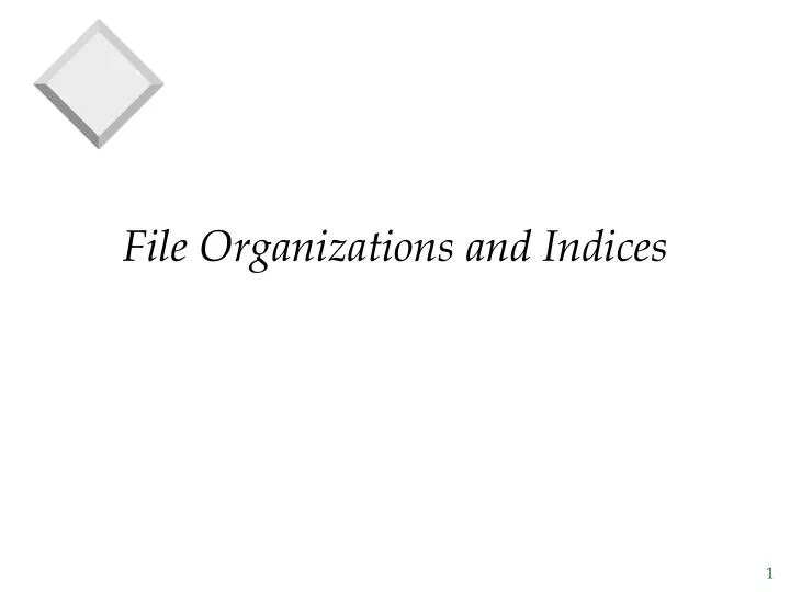 file organizations and indices
