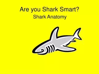 Are you Shark Smart?