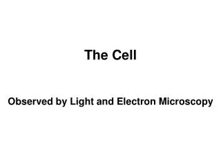 The Cell