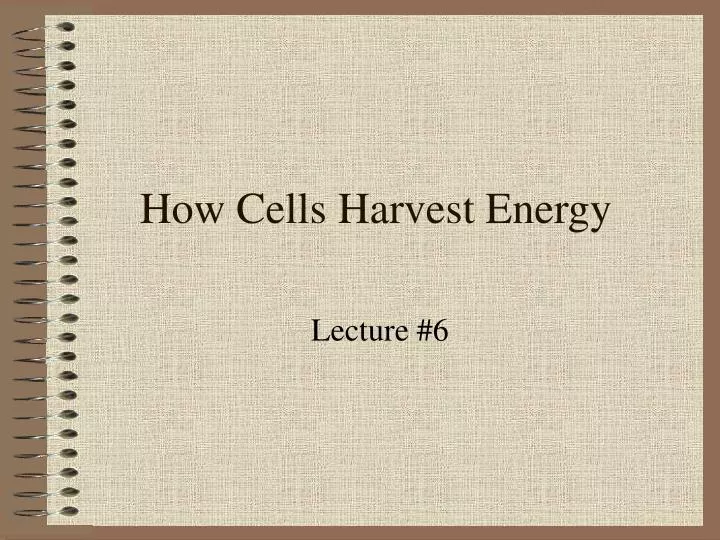 how cells harvest energy