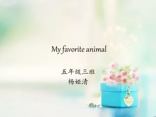 my favorite animal