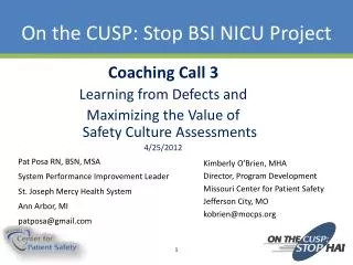 On the CUSP: Stop BSI NICU Project