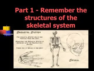 Part 1 - Remember the structures of the skeletal system