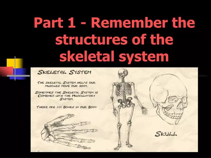 part 1 remember the structures of the skeletal system