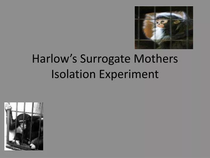 harlow s surrogate mothers isolation experiment