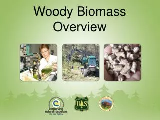 Woody Biomass Overview