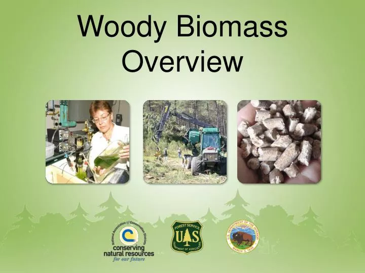 woody biomass overview