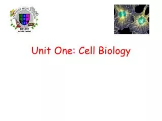 Unit One: Cell Biology