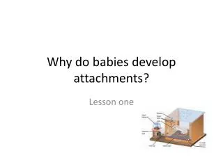 Why do babies develop attachments?