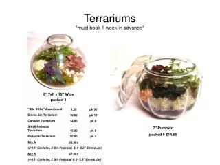 Terrariums *must book 1 week in advance*