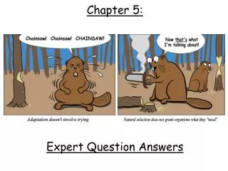 Chapter 5: Expert Question Answers