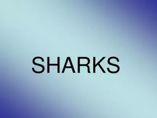 SHARKS