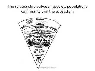 The relationship between species, populations community and the ecosystem