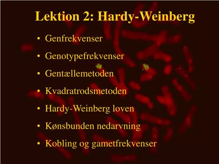 lektion 2 hardy weinberg