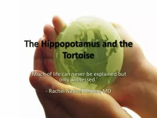 The Hippopotamus and the Tortoise