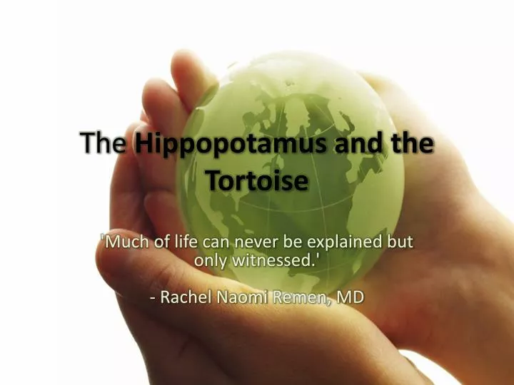 the hippopotamus and the tortoise