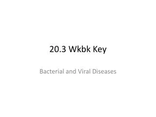 20.3 Wkbk Key