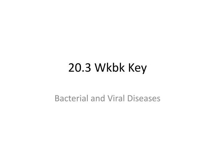 20 3 wkbk key