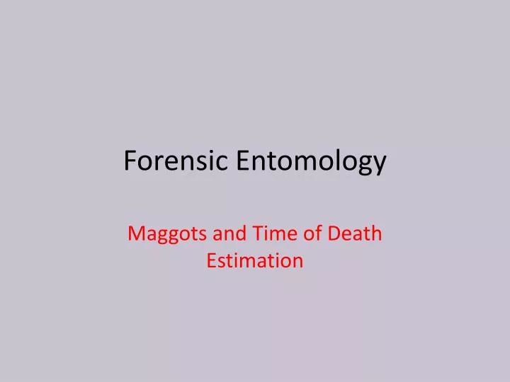 forensic entomology
