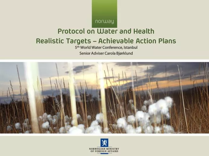 protocol on water and health realistic targets achievable action plans