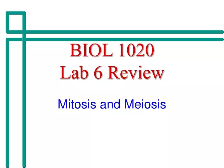 biol 1020 lab 6 review