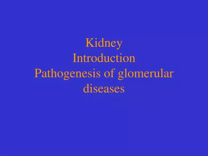 kidney introduction pathogenesis of glomerular diseases