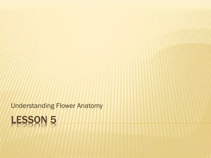 understanding flower anatomy