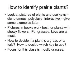 How to identify prairie plants?