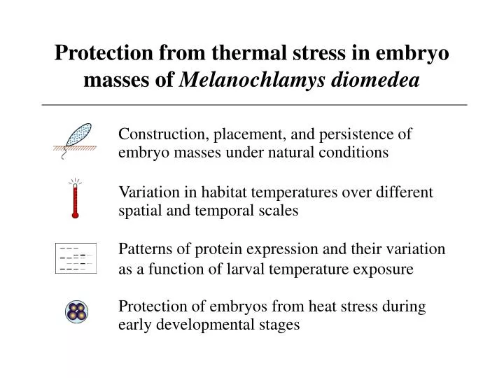 protection from thermal stress in embryo masses of melanochlamys diomedea