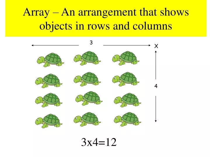 array an arrangement that shows objects in rows and columns