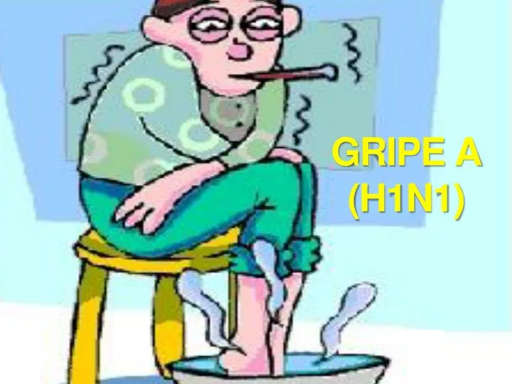 gripe a h1n1