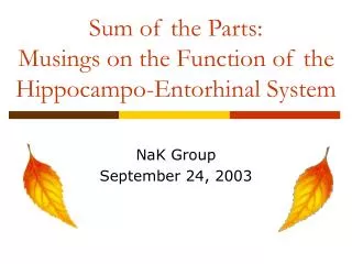 Sum of the Parts: Musings on the Function of the Hippocampo-Entorhinal System