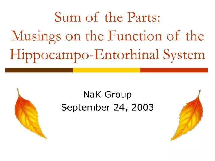 sum of the parts musings on the function of the hippocampo entorhinal system