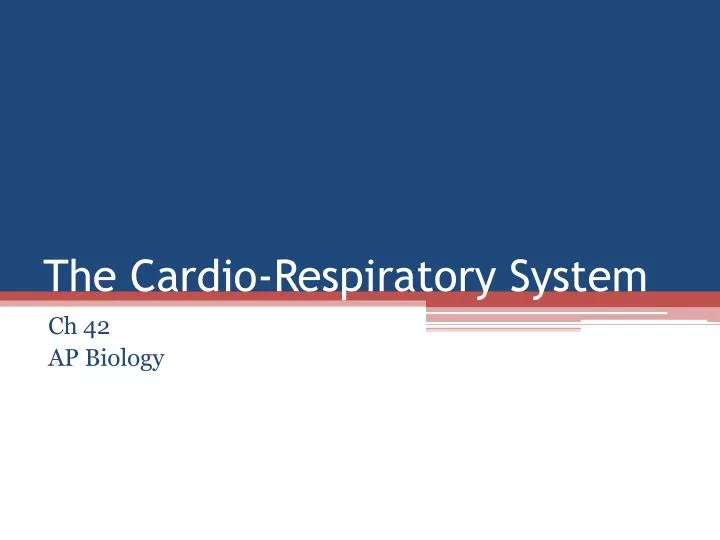 the cardio respiratory system