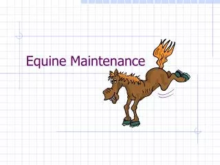 Equine Maintenance