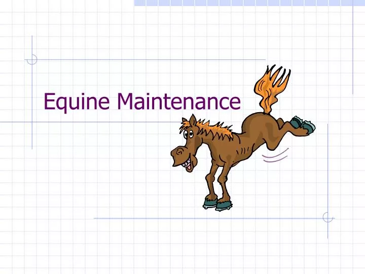 equine maintenance