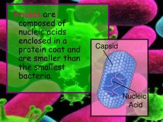 Capsid