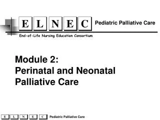 Perinatal and Neonatal Palliative Care