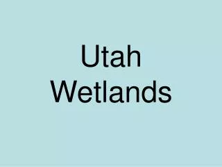 Utah Wetlands