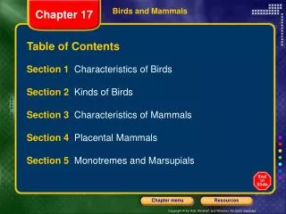 Birds and Mammals