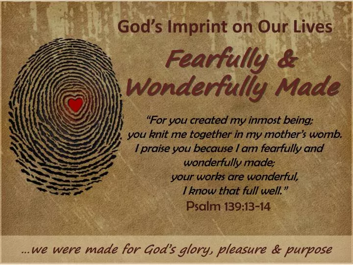 god s imprint on our lives