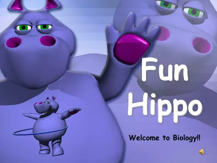 fun hippo