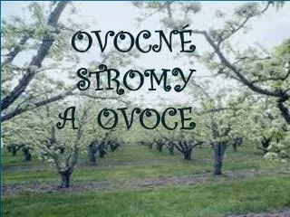 ovocn stromy a ovoce