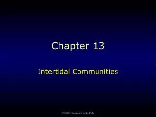 Chapter 13