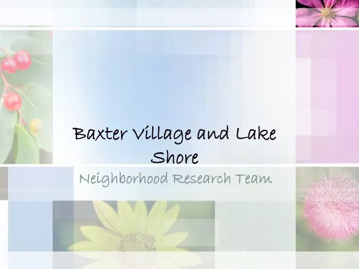 baxter village and lake shore