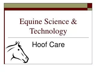 Equine Science &amp; Technology